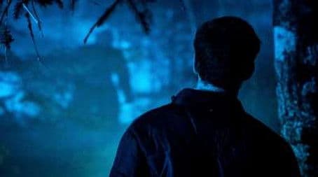 I Don't Want to be Forced Out and None of Us Dared to Even Move