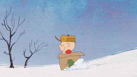 Think Inside the Box