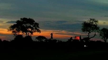 Diaries - Shot in the Dark