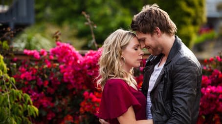 The Clown and the Bear