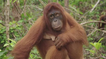 The Road to Recovery