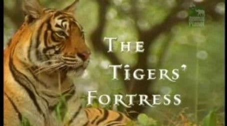 The Tigers' Fortress