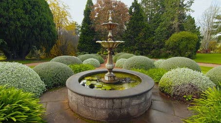 Episode 10 Autumn: Beginner gardeners and old hands alike