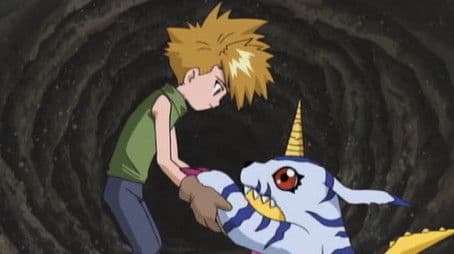 The Crest of Friendship