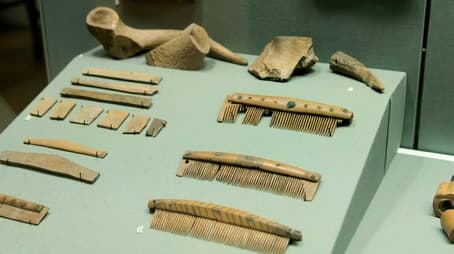 The Dynasty of Ivarr