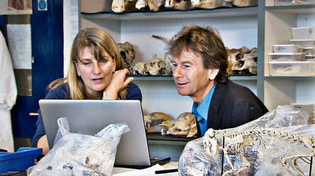 The Great Famine And The Black Death