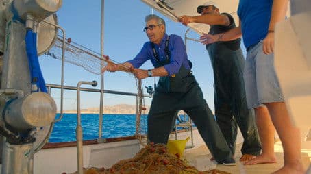 Greece: Island-Hopping in the Aegean