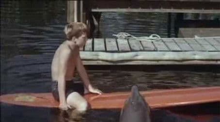 The Raccoon who Came to Dinner