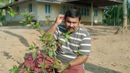 Not Heaven, But Hell