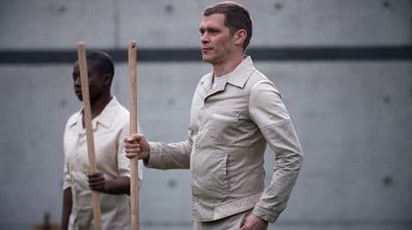 Monogamy & Futility (1)