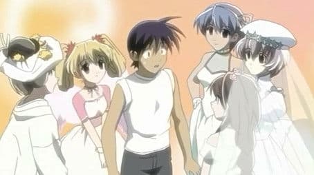 Well Well - Happy Finale!