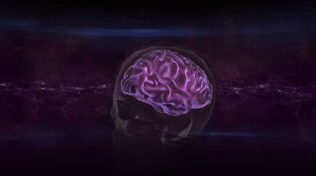 Decoding the Brain
