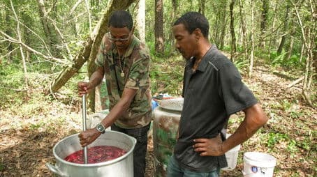 Floodwater Runs Deep
