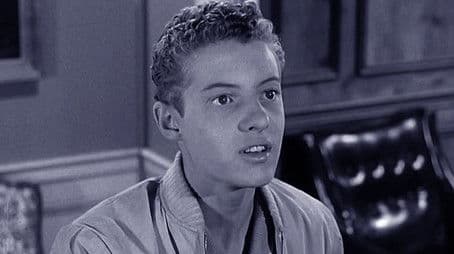 Beaver's Library Book