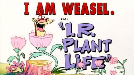 I.R. Plant Life