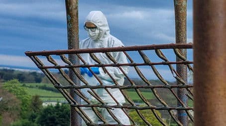 Unearthing the Truth