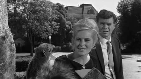 Stopover in a Quiet Town