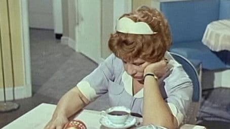 Just Me, Harold and the Universe