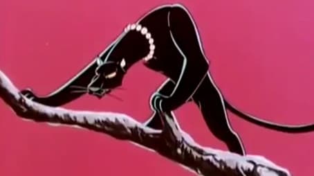 Lily the Black Leopard