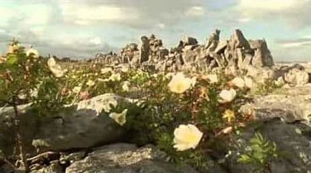 Ireland: Sculpted Isle
