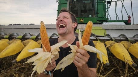 Perfect Popcorn, Blue Cheese, Crisps