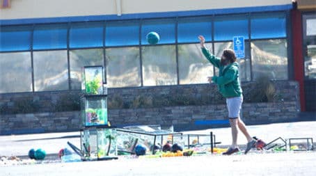 The Elephant in the Room