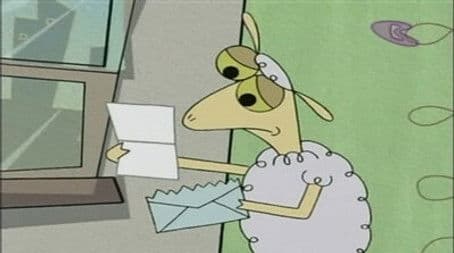 Home for the Baa-lidays