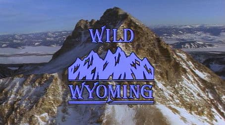 Wild Wyoming