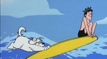 Surf-Bored / The Computer