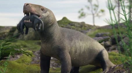 Our Bizarre, Possibly Venomous, Relative