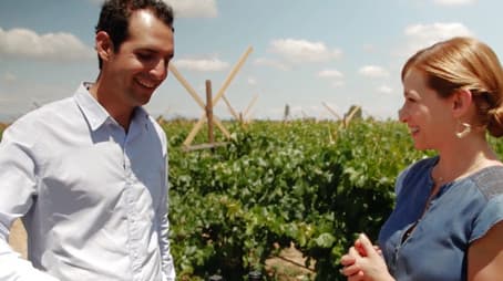 Summer Evening Party