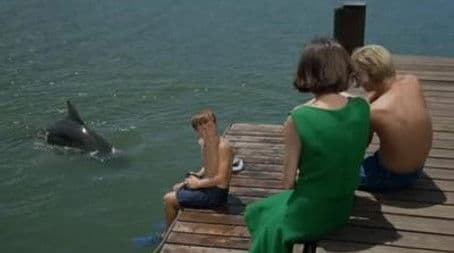 Lady and the Dolphin (1)