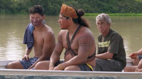 Fall of a Jungle Civilisation