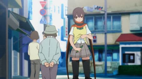 Cherry Blossoms Bloom