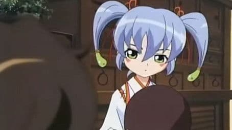 Escape to the Northeast