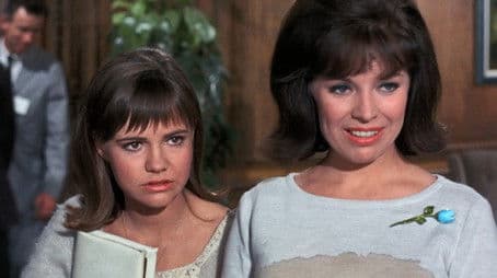 In and Out with the In-Laws