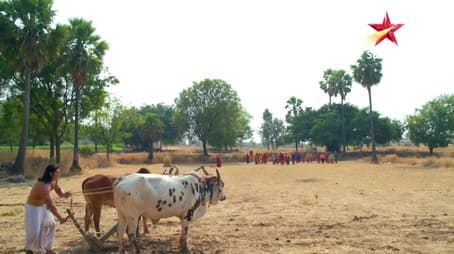 Ram's Missing At the Swayamvar