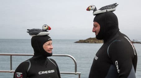 Still Waters Run Deep