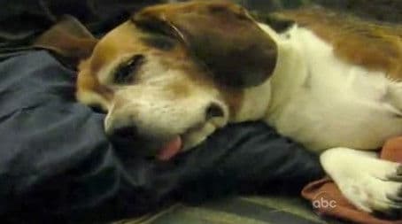 Working Out Mishaps and Easter Egg Calamities