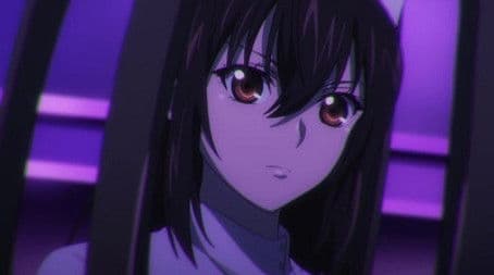 Fiesta for the Observers IV