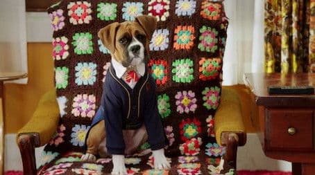 Tell Us About Your Human Day