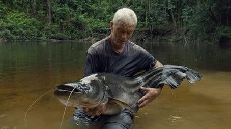 Malaysian Lake Monster