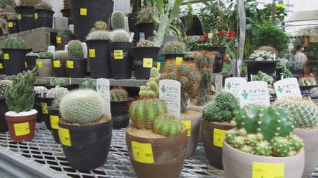 Garden Supply Store: Flowers, Greenery, and Happiness