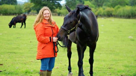 Ludlow Food Festival - Cider and Meat