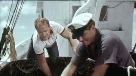 Flipper's Odyssey (1)