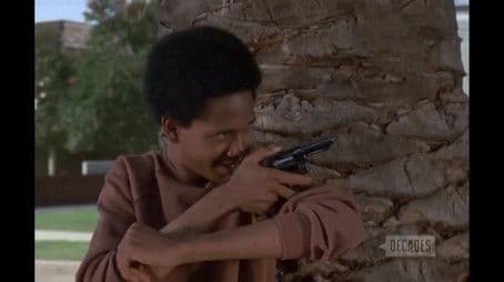 The Saturday Night Special