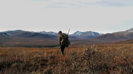 Yukon Giants: Northern Alaska Moose (1)