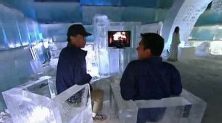 We Should Have Brought Gloves and Butt Pads