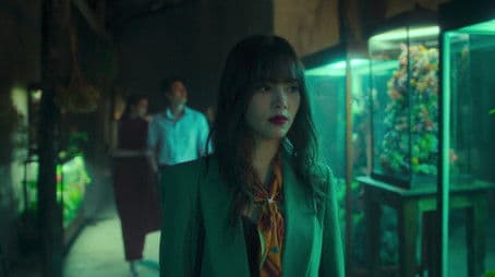 All the Flowers in the Garden