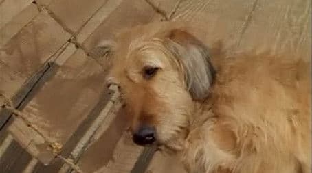 Walter and the Outlaws